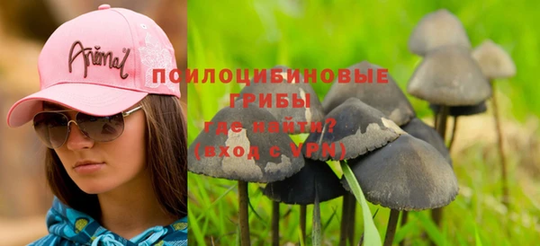 дмт Алзамай
