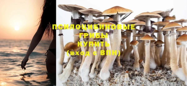 кокаин колумбия Алексин