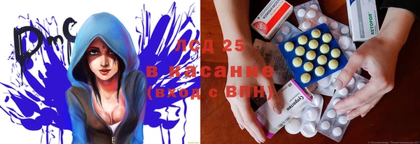 дмт Алзамай